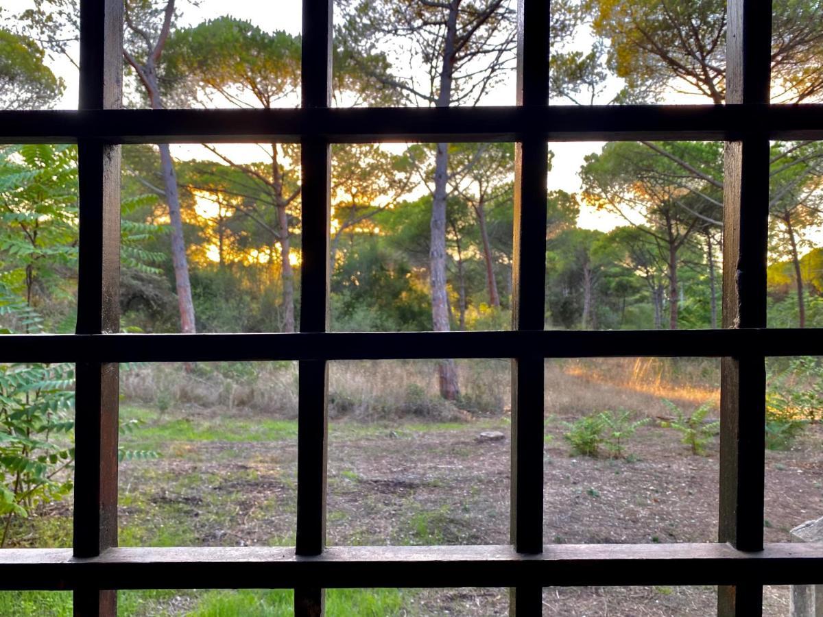 All'Ombra Dei Pini - Casa Vacanze Pet Friendly Lägenhet Marina di Sorso Exteriör bild