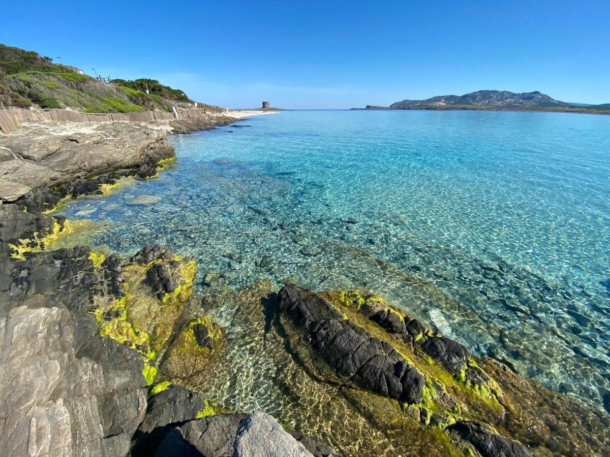 All'Ombra Dei Pini - Casa Vacanze Pet Friendly Lägenhet Marina di Sorso Exteriör bild